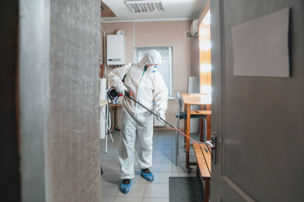 Best Mold Prevention Services  in Michigan City, IN